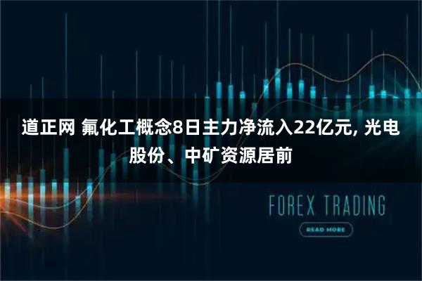 道正网 氟化工概念8日主力净流入22亿元, 光电股份、中矿资源居前