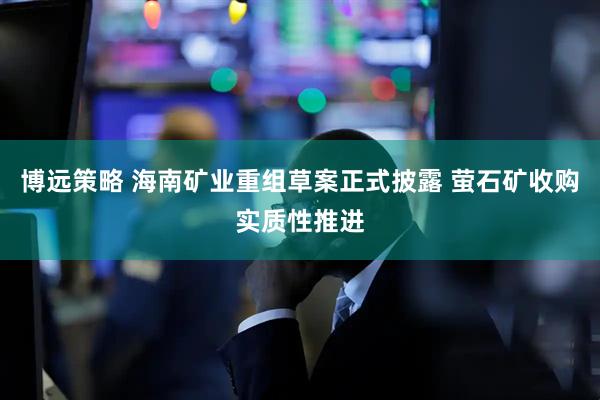 博远策略 海南矿业重组草案正式披露 萤石矿收购实质性推进
