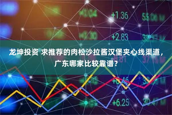 龙坤投资 求推荐的肉松沙拉酱汉堡夹心线渠道，广东哪家比较靠谱？