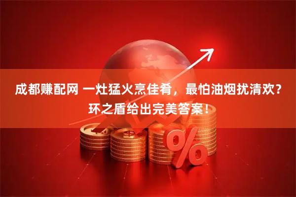 成都赚配网 一灶猛火烹佳肴，最怕油烟扰清欢？环之盾给出完美答案！