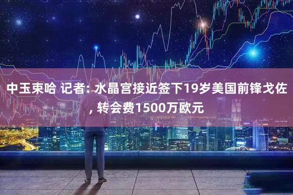 中玉束哈 记者: 水晶宫接近签下19岁美国前锋戈佐, 转会费1500万欧元
